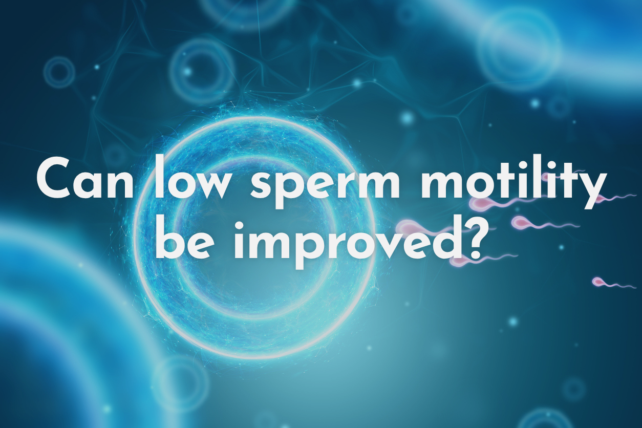 Illustration of sperm cells with the text 'Can low sperm motility be improved?' over a blue abstract cellular background.